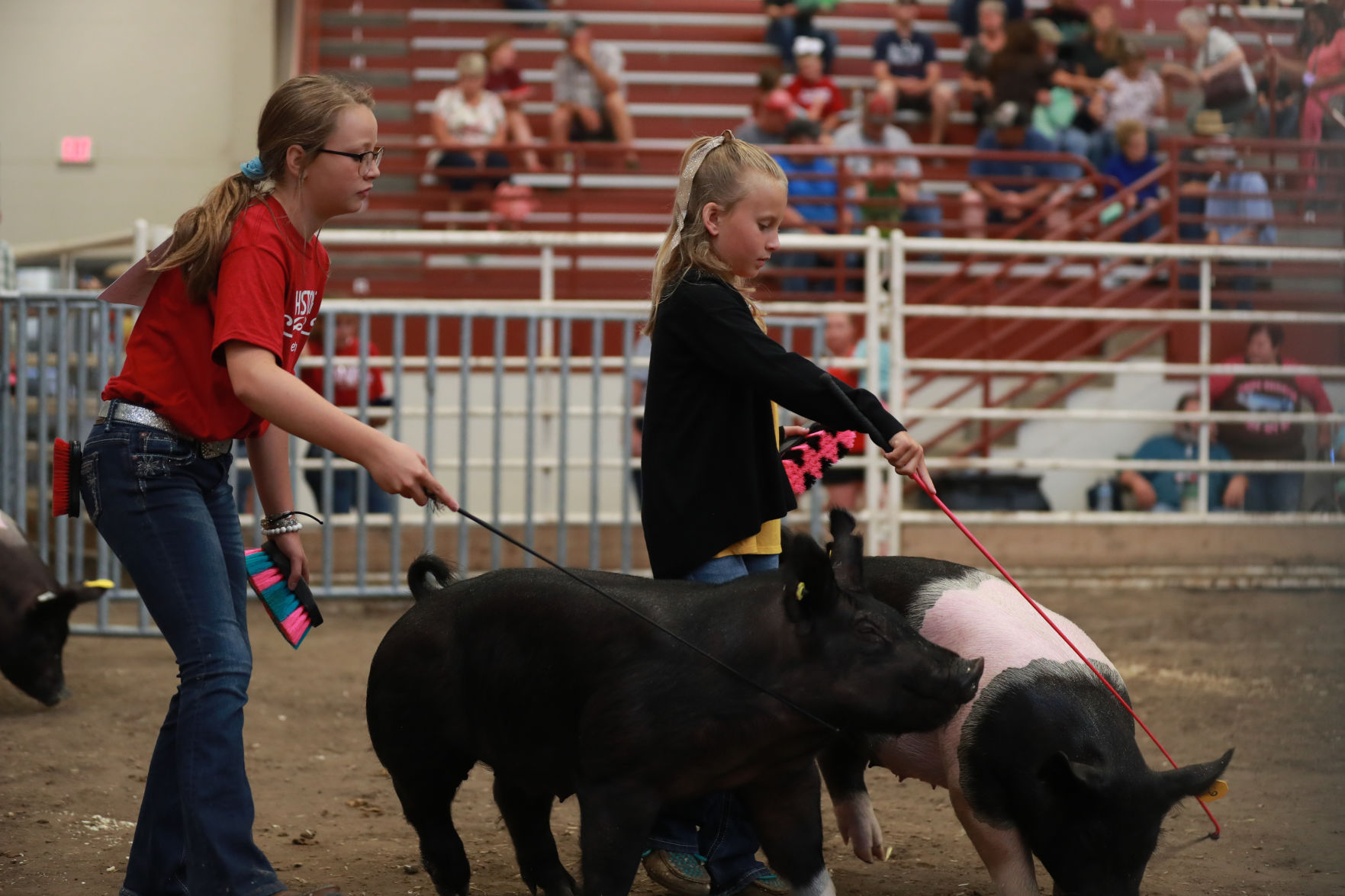 071119_HallCoFair05_bjs.JPG